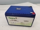 Bateria de íon de lítio recarregável Lifepo4 12V 10Ah